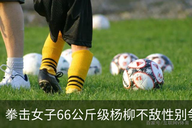 拳击女子66公斤级杨柳不敌性别争议选手摘银